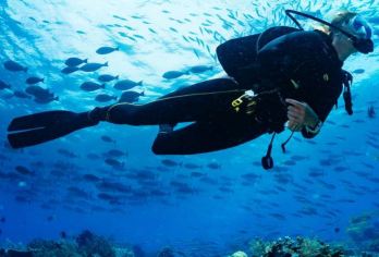 富国岛Roi island水肺潜水半日游【可选上午/下午场】【惊叹于充满活力的蓝色海水，让自己沉浸在这自然奇观的奇妙氛围中】