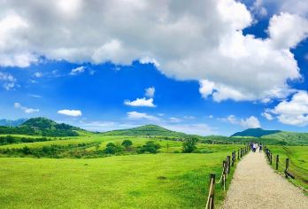 台北一日游：北投、地热谷、阳明山、野柳（含接送）【阳明山花海与野柳地质奇观，一次尽览自然鬼斧神工。】