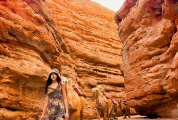 平山湖大峡谷大巴车深度游【官方品质】