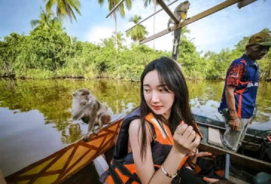 亚庇：旺家湾河游船巡游、萤火虫、火焰秀及城市观光六站之旅【体验一日游，观赏长鼻猴、猕猴、水上清真寺、巧克力工厂、海滩及萤火虫 在黄昏时分见证红树林中神奇的萤火虫奇观点亮夜空 选择您偏好的语言，享受含晚餐的私人或共享旅游体验】