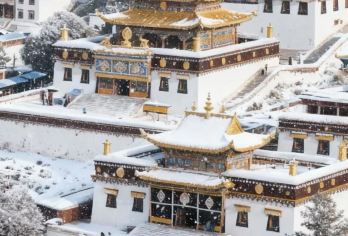 【千年梵音】五当召半日/包车游【惊爆下单即赠送酒店一晚】【[旅行畅游]包头出发，半天往返，带您感受不一样的蒙古族风土人情。】