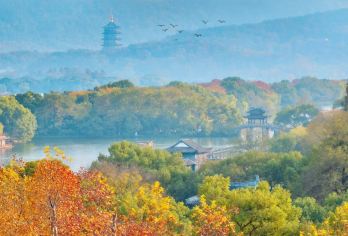 西湖风景名胜区摇橹船(拼船40分钟)+雷峰塔+讲解半日游【西湖里的摇橹船或手划船， 搭配两岸的绿树青山，正巧也是一副景美画卷。】