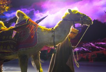 秦始皇帝陵博物院兵马俑+中/英文导游+驼铃传奇一日游【探秘秦始皇帝陵博物院，英文导游深度解码兵马俑的千年雄魂，触摸大秦帝国的磅礴气场。】