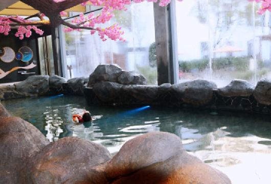 合肥市区包车往返｜庐江一号泉漂浮温泉一日包车游(多车型可选）【[一对一包车]专车上门接送，车辆费用全含】