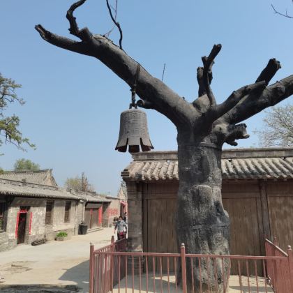 中国古动物馆+冉庄地道战遗址一日游