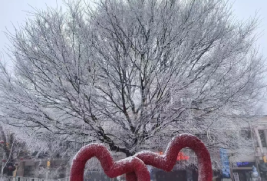 中国湖北+神农架冬季秘境探索1日游【一日尽览神农顶冰雪王国、探秘神奇金丝猴、漫步大九湖冬日水墨画，体验华中屋脊的冬韵。】