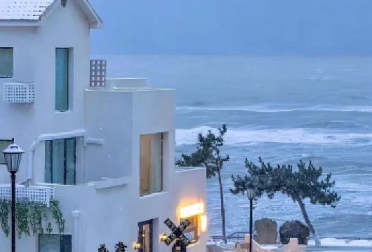 威海·打卡半日游【火炬八街+天鹅湖+布鲁维斯号+韩乐坊解散】【专业领队+向导,全程带玩。】