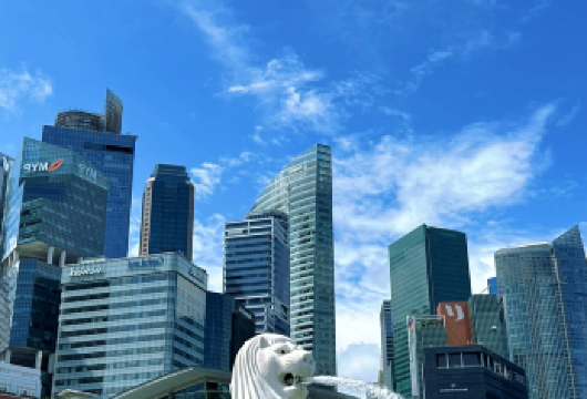 【新加坡一日游】新加坡植物园+鱼尾狮+新加坡美术馆+圣淘沙【包车成团，畅游赤道明珠，体验魅力南洋】