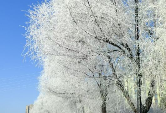 雾凇岛+长白岛纯玩一日游【吉林市起止】【雾凇岛，一个如诗如画、令人心驰神往的地方，它是中国大地上一颗璀璨的明珠，值得你一生至少去一次！】