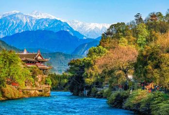 熊猫谷+都江堰+南桥一 日游【2-6人精品小团｜夜景蓝眼泪】【[2-6人纯玩小团]| 主打松弛自由 | 贴心管家专属服务 | 只为给您更私密的旅行体验。】