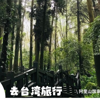 中国台湾嘉义县阿里山国家风景区半日游