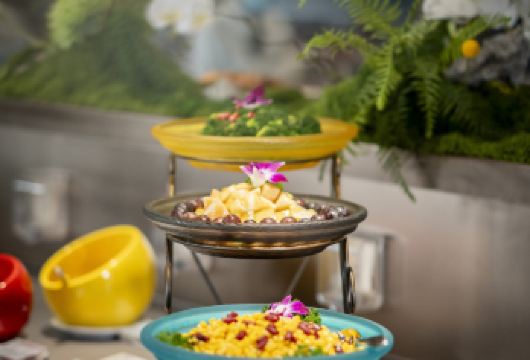 两坝一峡游船+升船机+大坝+长江巡游一日活动【VIP臻享游】【[臻享系列]游轮中西自助餐+茶歇+专属观景区域+KFC早餐】