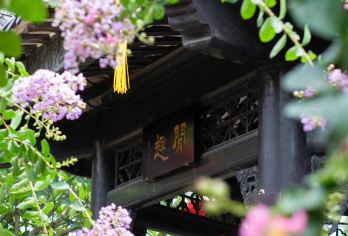 广州番禺沙湾古镇+余荫山房+南沙天后宫+游艇会一日游私家包团【私家旅行：一单一团，不拼客，专属旅行、品质服务：车上门接送，专职司机护航】