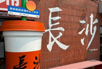 长沙定制一日游｜专业导游服务｜中英文导游讲解｜可选小语种Y【提供专业导游服务｜行程可调】