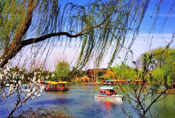 江苏扬州：导游地陪｜包车日游｜一单一团【中英等多语种】#【[品质纯玩]拒绝走马观花式游览，资深司导一站到底式管家，全程景点可定制】