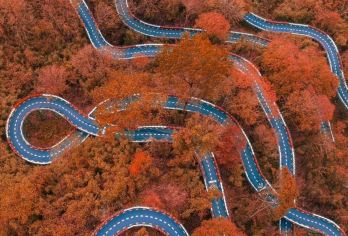 巴中光雾山旅游景区+米仓山国家森林公园1日包车游（红叶彩林）【景点您定:根据您的个人需求，我们精心为您提供个性化服务内容公司团建，亲子游，研学团等 司机兼向导(非】