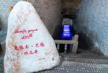 新疆吐鲁番包车一日游【吐鲁番景点较为分散，包车可自由安排行程，节省时间，且在高温天气下，包车有空调能提供舒适的乘车环境。】