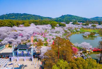 黄鹤楼+东湖风景区+武汉玛雅海滩水公园+夜游长江【中文司机】