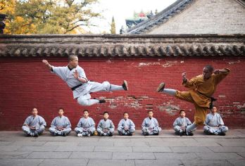 少林寺+武术表演+塔林【导游讲解|2-8人团|酒店接送|纯玩【[舒适体验]2-8人精品小团，市区接送，行程更自由】