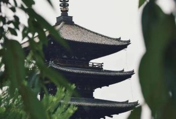 日本大阪往返.琉璃光院-三千院.贵船神社-红叶巡礼红叶季【专业行程定制，精选热门景点，高效游玩不走回头路，贴心服务保障，轻松】