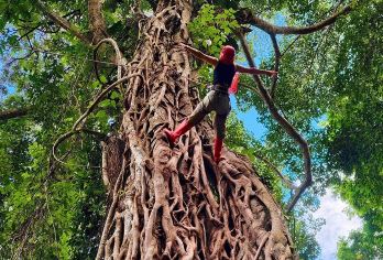 西双版纳基诺山巴朵特龙谷雨林徒步一日游 项目全含 70%溯溪【[精品纯玩]纯玩无购物，无任何隐性消费，嗨游热带雨林；】