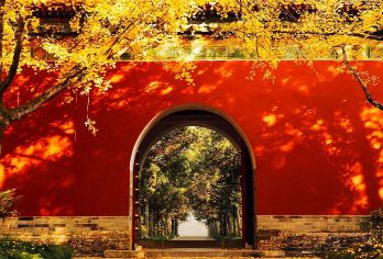 橄榄游●明孝陵2小时人工讲解小包团 网红资深导游精讲【[橄榄游讲师团]他们博古通今，幽默睿智，善于挖掘文物背后的故事，用有趣的方式还原历史真相！】