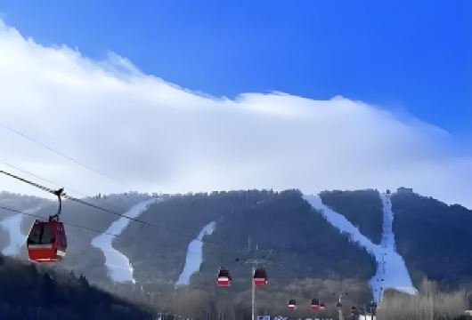 亚布力一日游【滑雪，雪服，马拉雪橇，驯鹿，雪上游乐园】