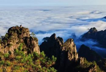 黄山一日游【可选经典团/夜游徽州古城/徽秀演出/呈坎鱼灯】【[团型任选]多种套餐任选：经典团+16人团+私家小包团含夜游，精致纯玩导游陪同上山，大IP一个不少！】