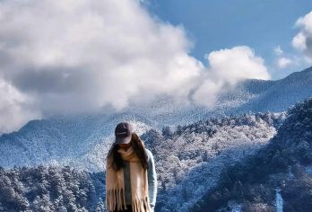 卧龙卓西牧场一日游 高山草甸+牛羊成群【正规旅游大巴】