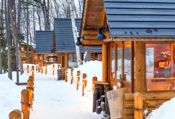 北海道一日游：旭山动物园+白须瀑布+森林精灵露台+美瑛雪原【探访日本最北动物园——旭山动物园，观察企鹅散步等冬季限定动物行为，亲近自然生态。】