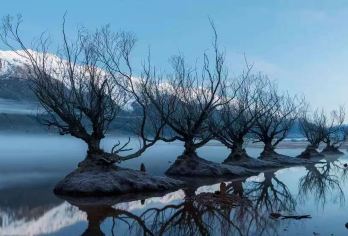 皇后镇&魔戒之旅＋格林诺奇＋天堂镇一日游【无需为交通烦恼，舒适专车全程接送，行程灵活与自由，随心掌控游览节奏】