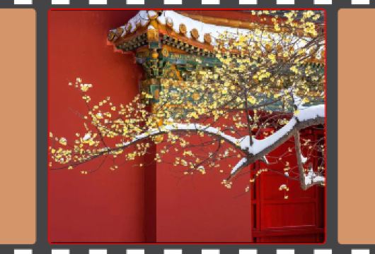 钟山风景名胜区※ 可含门票（中山陵+音乐台+明孝陵+美龄宫）【不起早，一次畅游钟山风景区精华景点，深度打卡。】