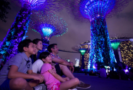 新加坡鱼尾狮公园半日游【游船】【克拉码头河游船（30分钟）：沿着新加坡河享受宁静的游船之旅，欣赏天际线和历史地标的壮丽景色。狂想曲灯光秀（15分钟）：在滨海湾花园的擎天树丛欣赏狂想曲灯光音响秀。Spectra 表演（15分钟）：在滨海湾金沙欣赏壮观的 Spectra 灯光音响和水上表演。】