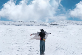 昆明轿子雪山一日游【8人内团▼二环内接▼纯玩无购物】【[一价全含]昆明旅行社，服务保障，含门票+车费+索道+摆渡车（大/大小索道）可选；】
