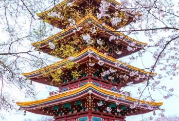 武汉市内一日游+尽览黄鹤楼+东湖+武大+省博精华，寻味户部巷【纯粹游用心玩！探名楼，走小巷，观历史，共历程！一起感受武汉的故事！】