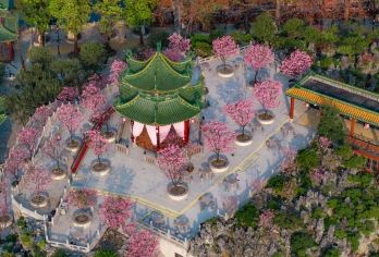 广州宝墨园+南粤苑+余荫山房+沙湾古镇一日游+私家包车定制游【私家旅行：一单一团，不拼客，专属旅行 品质服务：车上门接送，专职司机护航】