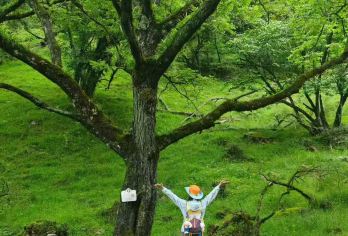 喇叭河轻徒步一日游【避暑圣地 森林氧吧】【景区门票团队票40元，车上收取，观光车35元（必坐）+往返索道团队】