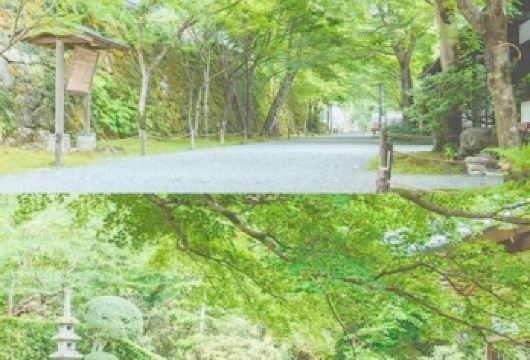 日本京都-琉璃光院-三千院-贵船神社-红叶满天 京都巡礼【专业行程定制，精选热门景点，高效游玩不走回头路，贴心服务保障，轻松】