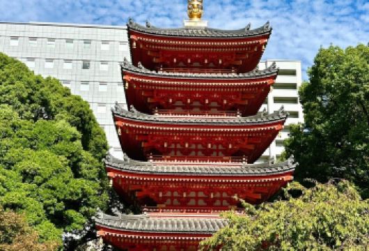 日本福冈市区网红景点包车/可熊本别府绿牌5-14座包车-精选【精选热门景点，高效游玩不走回头路，深度了解文化内涵，贴心服务保障，轻松享受旅程，性价比超高的旅行。】