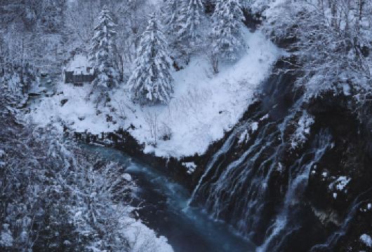 日本北海道旭川美瑛｜白须瀑布｜孤独圣诞树｜札幌往返｜中文专车【尊享一对一高端行程定制，多日豪华包车专属礼遇，专业旅行顾问24小时恭候垂询。】