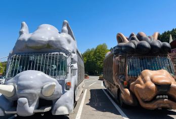 柯南动漫巡礼：大分由布院+九州自然动物园一日游【一手自营组团，出行安全无忧，超省心！】