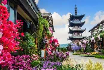 无锡鼋头渚+拈花湾一日游【邂逅红嘴鸥 仙岛游船 拈花灯影】【[游玩保障]：本线路为纯玩线路，优质服务，行程明确】