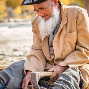 【包车游】库尔勒塔克拉玛干沙漠+罗布人村寨+塔里木包车一日游