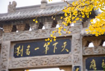 中国郑州少林寺一日游【豫悠游|少林寺小包团】【接送服务 出行无忧】