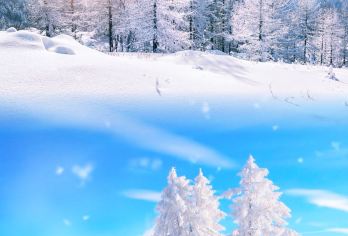 【2-8人小团】雪乡+冰雪画廊+秃顶山雪地摩托纯玩1日游【2-8人小团，纯玩无购物、无自费】