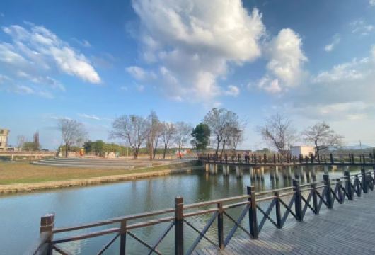 江门三十三墟街+自力村+塘口墟+粮仓书店一日|包车游上门接送【私家旅行：一单一团，不拼客，专属旅行； 品质服务：小车上门接送，专职司机护航】