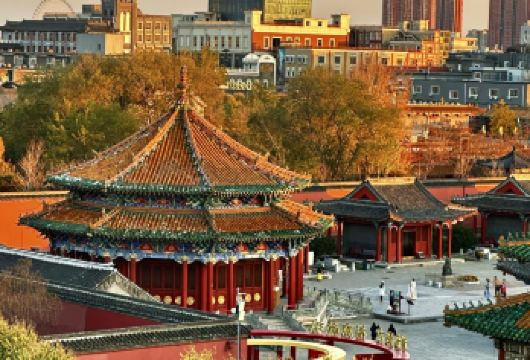 沈阳故宫半日游【门票+专业讲解1小时，无购物无自费】【[讲解服务]导游服务，资深讲师及文史大咖爱好者，5年以上讲解经验，含耳麦】