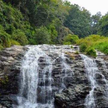 迈索尔至库格自然与野生动物私人日游