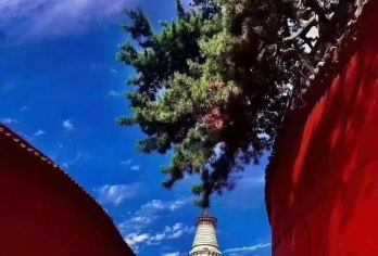 忻州出发五台山包车一日游（上门接送 景区随心畅玩）【品质保证：专职司机，专业车队，佛系向导，经验丰富，一价全含】