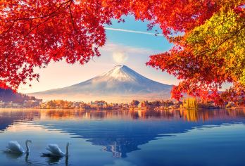 日本东京定制包车游【富士山箱根伊豆关东多地一日游 中文司机】【日本全境均可私人定制包车：包含华人司机】